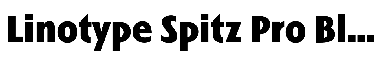 Linotype Spitz Pro Black